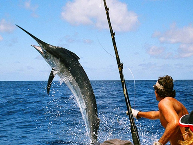 Tours and Activities Spanish Immersion and Study Abroad Costa Rica Manuel Antonio