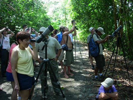 Manuel Antonio National Park Tours